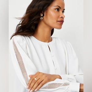 NWT Lace Sleeve Mixed Media Blouse from Ann Taylor Large